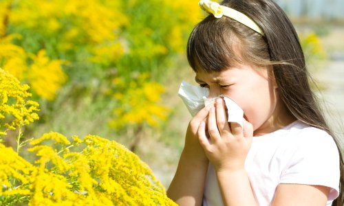 Apa saja yang dapat menyebabkan si Kecil alergi ?