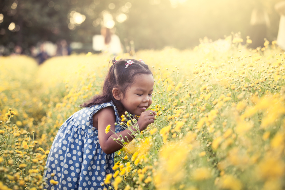 Apa Itu Rhinitis Allergy?