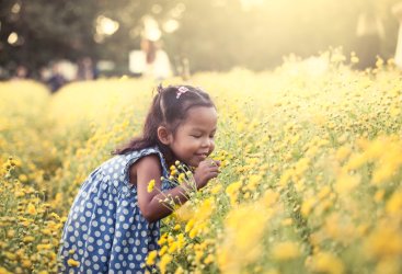 Apa Itu Rhinitis Allergy?