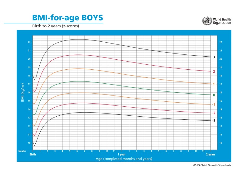 Grafik Pertumbuhan Anak Lengkap yang Harus Bunda Pahami