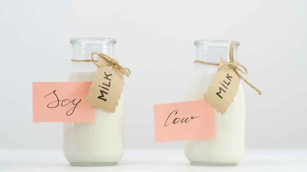 Mitos: Apakah Formula Soya Tidak Sebaik Susu Sapi?