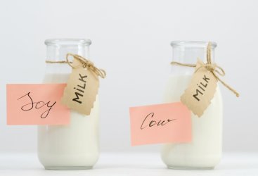 Mitos: Apakah Formula Soya Tidak Sebaik Susu Sapi?