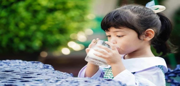 Apa Manfaat Utama Kandungan DHA dalam Susu Formula Anak?