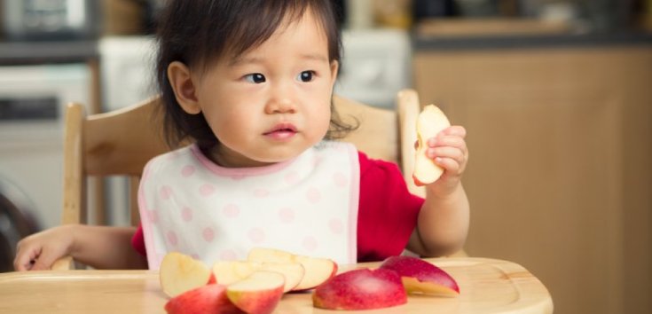 Resep Makanan untuk Anak Usia 2 Tahun yang Susah Makan