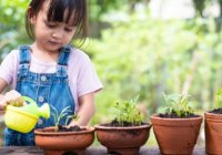 8 Ide Aktivitas untuk Dukung Tumbuh Kembang Anak 1-2 Tahun