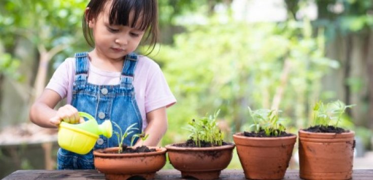 8 Ide Aktivitas untuk Dukung Tumbuh Kembang Anak 1-2 Tahun