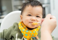 Panduan Memberikan Makanan untuk Bayi 8 Bulan