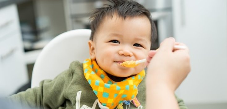 Panduan Memberikan Makanan untuk Bayi 8 Bulan