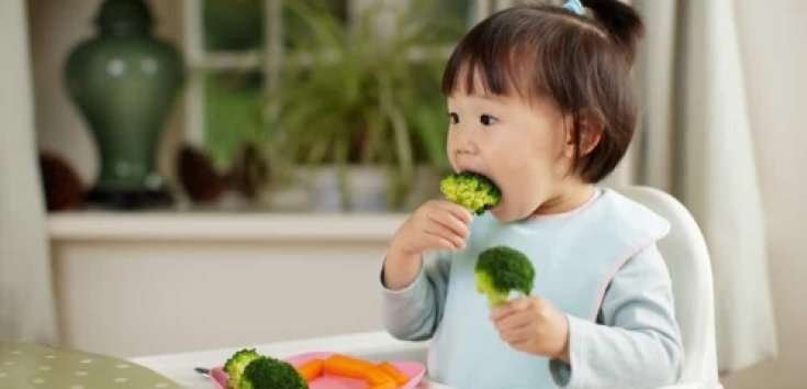 6 Resep Sayur untuk Anak yang Susah Makan