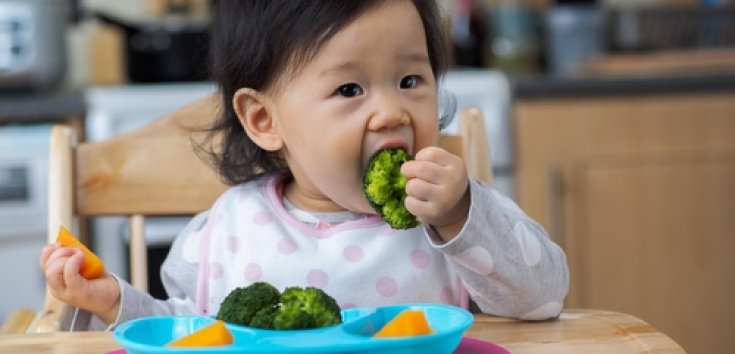 8 Sayuran yang Mengandung Protein Tinggi untuk Anak