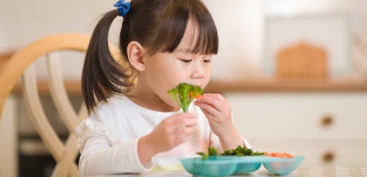 8 Kebutuhan Nutrisi Anak Alergi Susu Sapi