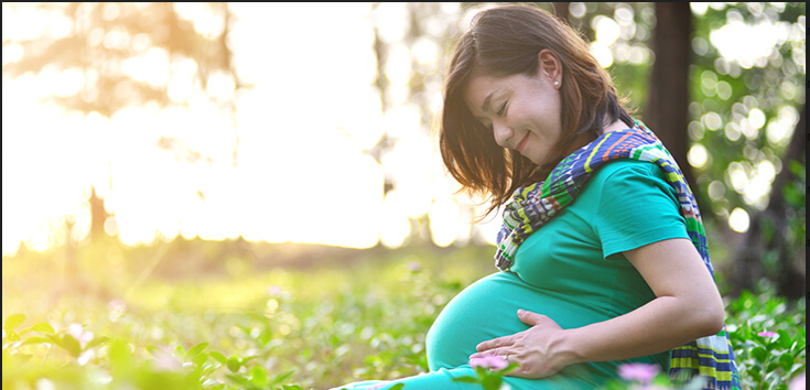 Tahapan Perkembangan Janin pada Trimester Kedua Kehamilan