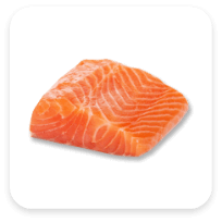 ikan salmon